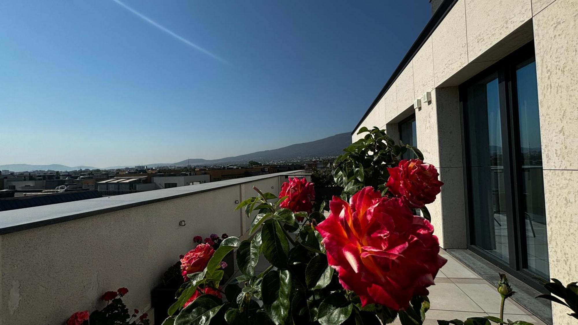 Blue Star Luxury Hotel Sofia Exterior photo